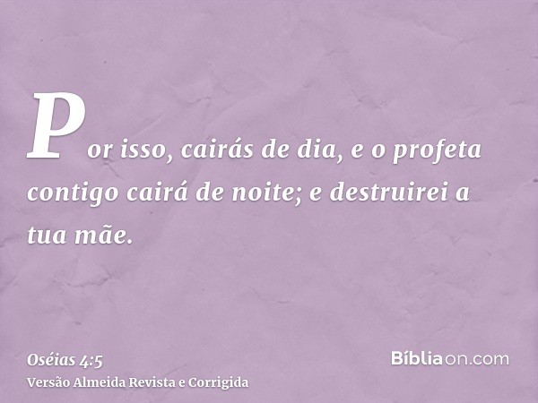 Por isso, cairás de dia, e o profeta contigo cairá de noite; e destruirei a tua mãe.