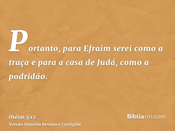 Portanto, para Efraim serei como a traça e para a casa de Judá, como a podridão.