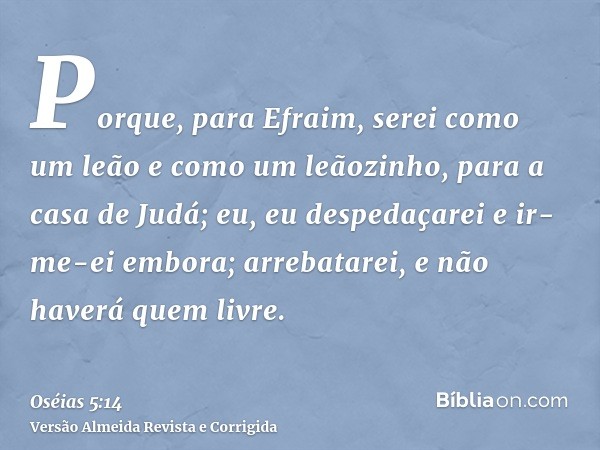 Porque, para Efraim, serei como um leão e como um leãozinho, para a casa de Judá; eu, eu despedaçarei e ir-me-ei embora; arrebatarei, e não haverá quem livre.