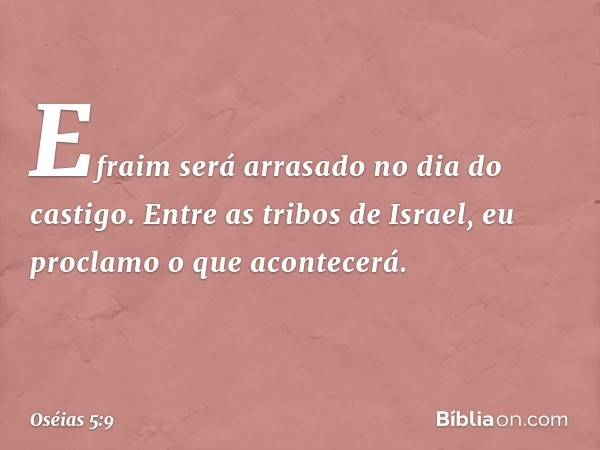 Efraim será arrasado
no dia do castigo.
Entre as tribos de Israel,
eu proclamo o que acontecerá. -- Oséias 5:9