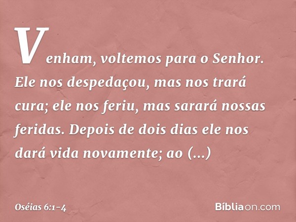 "Venham, voltemos para o Senhor.
Ele nos despedaçou,
mas nos trará cura;
ele nos feriu,
mas sarará nossas feridas. Depois de dois dias
ele nos dará vida novamen