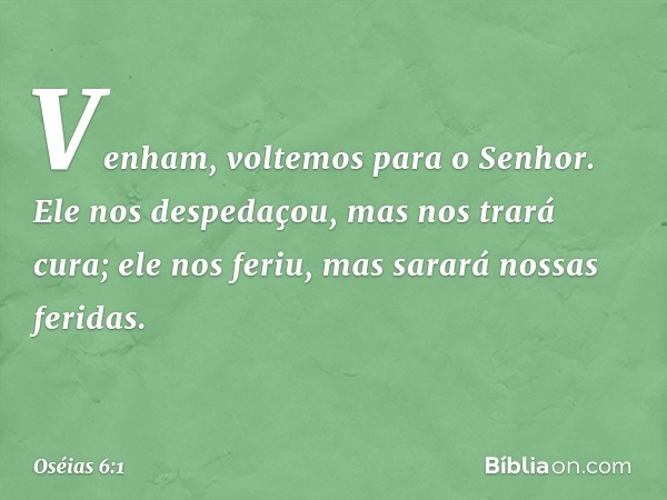 "Venham, voltemos para o Senhor.
Ele nos despedaçou,
mas nos trará cura;
ele nos feriu,
mas sarará nossas feridas. -- Oséias 6:1