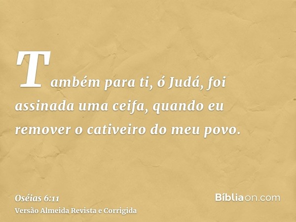 Também para ti, ó Judá, foi assinada uma ceifa, quando eu remover o cativeiro do meu povo.