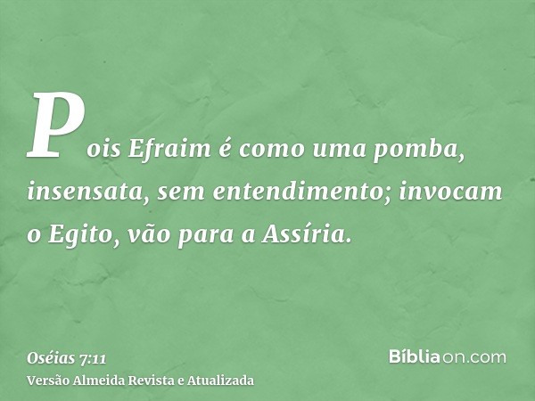 Pois Efraim é como uma pomba, insensata, sem entendimento; invocam o Egito, vão para a Assíria.