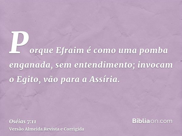 Porque Efraim é como uma pomba enganada, sem entendimento; invocam o Egito, vão para a Assíria.