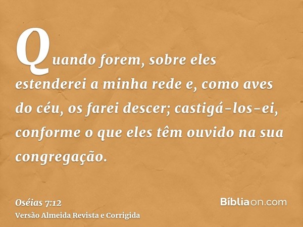 Quando forem, sobre eles estenderei a minha rede e, como aves do céu, os farei descer; castigá-los-ei, conforme o que eles têm ouvido na sua congregação.
