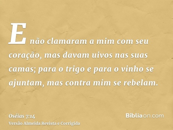 E não clamaram a mim com seu coração, mas davam uivos nas suas camas; para o trigo e para o vinho se ajuntam, mas contra mim se rebelam.