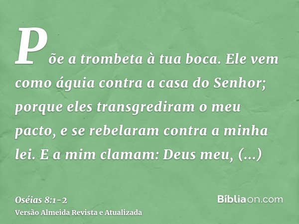 Põe a trombeta à tua boca. Ele vem como águia contra a casa do Senhor; porque eles transgrediram o meu pacto, e se rebelaram contra a minha lei.E a mim clamam: 