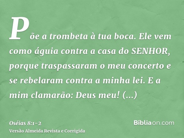 Põe a trombeta à tua boca. Ele vem como águia contra a casa do SENHOR, porque traspassaram o meu concerto e se rebelaram contra a minha lei.E a mim clamarão: De