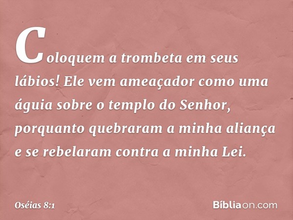 "Coloquem a trombeta
em seus lábios!
Ele vem ameaçador como uma águia
sobre o templo do Senhor,
porquanto quebraram a minha aliança
e se rebelaram contra a minh