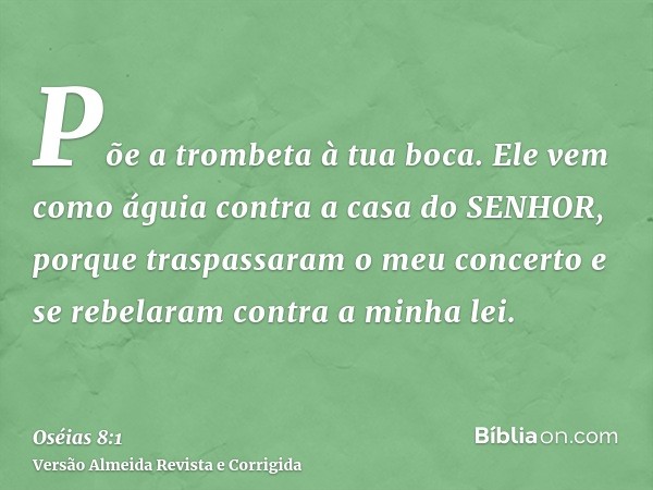 Põe a trombeta à tua boca. Ele vem como águia contra a casa do SENHOR, porque traspassaram o meu concerto e se rebelaram contra a minha lei.