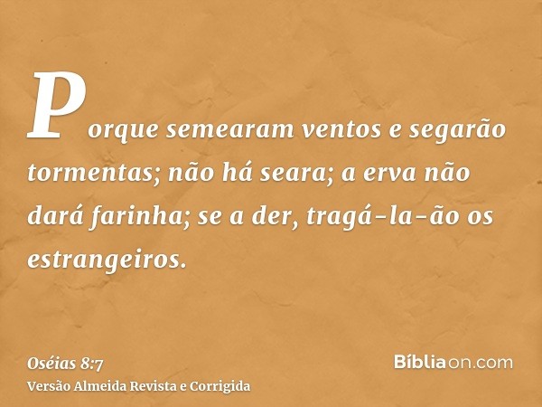 Porque semearam ventos e segarão tormentas; não há seara; a erva não dará farinha; se a der, tragá-la-ão os estrangeiros.