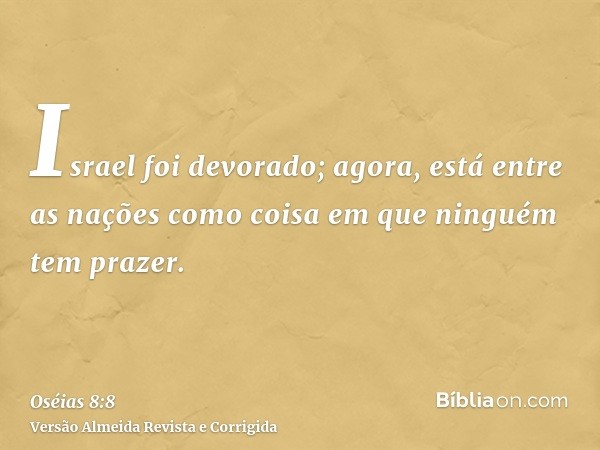 Israel foi devorado; agora, está entre as nações como coisa em que ninguém tem prazer.