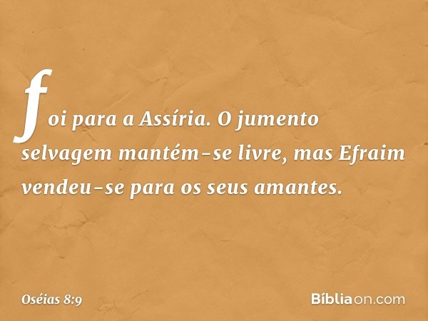 foi para a Assíria.
O jumento selvagem mantém-se livre,
mas Efraim vendeu-se
para os seus amantes. -- Oséias 8:9