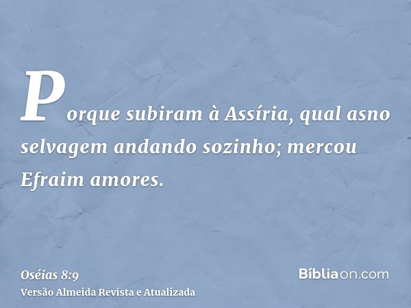 Porque subiram à Assíria, qual asno selvagem andando sozinho; mercou Efraim amores.