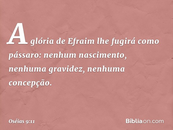 A glória de Efraim
lhe fugirá como pássaro:
nenhum nascimento, nenhuma gravidez,
nenhuma concepção. -- Oséias 9:11