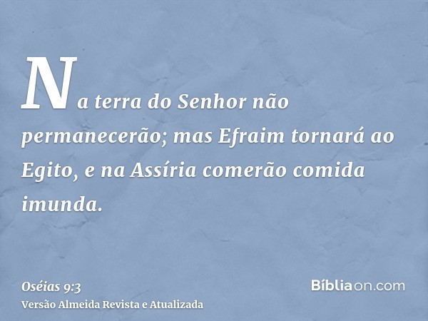 Na terra do Senhor não permanecerão; mas Efraim tornará ao Egito, e na Assíria comerão comida imunda.