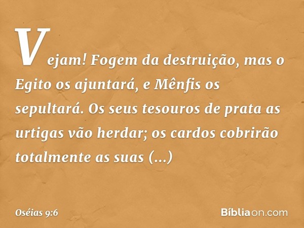 Vejam! Fogem da destruição,
mas o Egito os ajuntará,
e Mênfis os sepultará.
Os seus tesouros de prata
as urtigas vão herdar;
os cardos cobrirão totalmente
as su