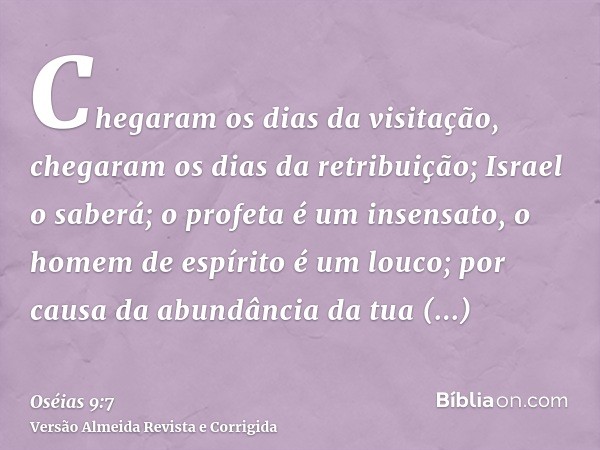 Chegaram os dias da visitação, chegaram os dias da retribuição; Israel o saberá; o profeta é um insensato, o homem de espírito é um louco; por causa da abundânc
