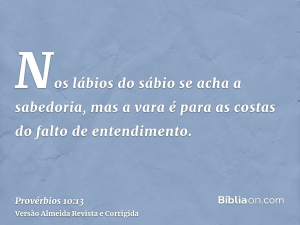 Nos lábios do sábio se acha a sabedoria, mas a vara é para as costas do falto de entendimento.