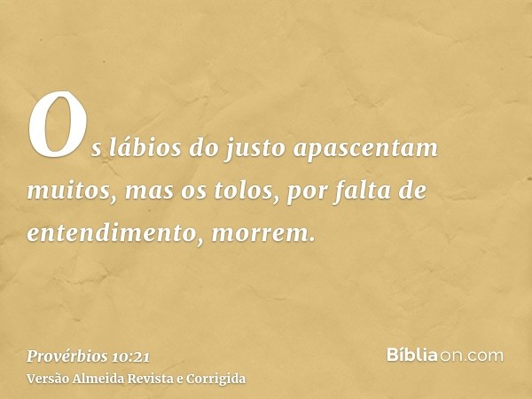 Os lábios do justo apascentam muitos, mas os tolos, por falta de entendimento, morrem.