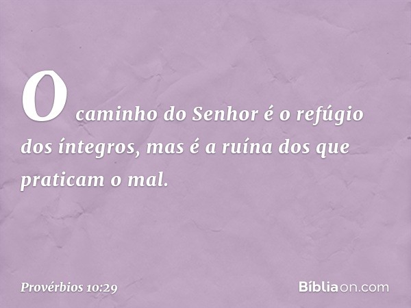 O caminho do Senhor
é o refúgio dos íntegros,
mas é a ruína dos que praticam o mal. -- Provérbios 10:29