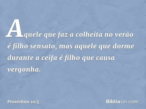 Aquele que faz a colheita no verão
é filho sensato,
mas aquele que dorme durante a ceifa
é filho que causa vergonha. -- Provérbios 10:5