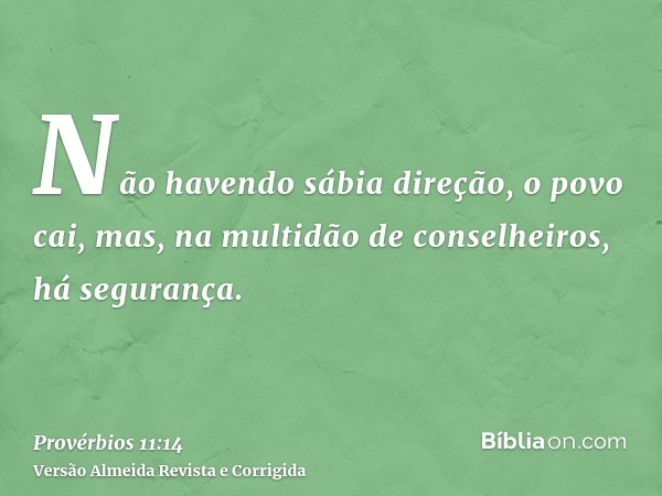 Não havendo sábia direção, o povo cai, mas, na multidão de conselheiros, há segurança.