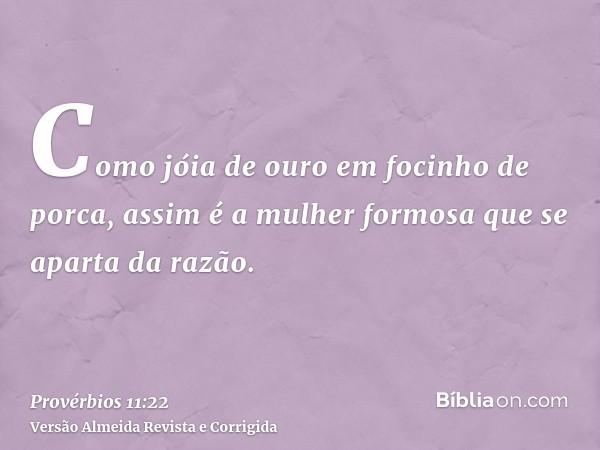 Como jóia de ouro em focinho de porca, assim é a mulher formosa que se aparta da razão.