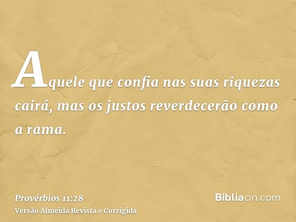 Aquele que confia nas suas riquezas cairá, mas os justos reverdecerão como a rama.