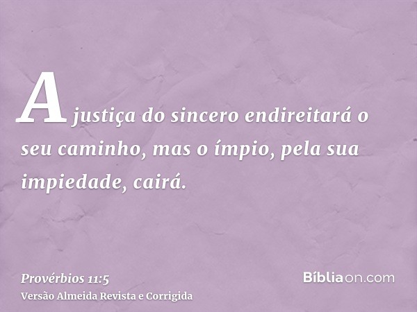 A justiça do sincero endireitará o seu caminho, mas o ímpio, pela sua impiedade, cairá.