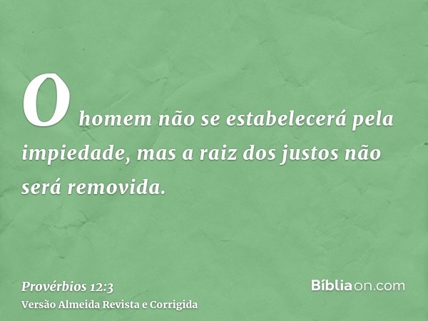 O homem não se estabelecerá pela impiedade, mas a raiz dos justos não será removida.