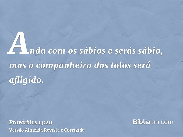 Anda com os sábios e serás sábio, mas o companheiro dos tolos será afligido.