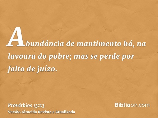 Abundância de mantimento há, na lavoura do pobre; mas se perde por falta de juízo.