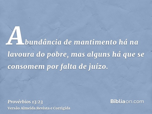 Abundância de mantimento há na lavoura do pobre, mas alguns há que se consomem por falta de juízo.