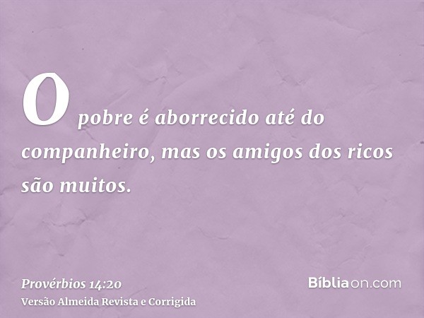O pobre é aborrecido até do companheiro, mas os amigos dos ricos são muitos.