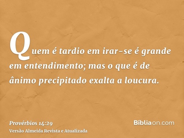 Quem é tardio em irar-se é grande em entendimento; mas o que é de ânimo precipitado exalta a loucura.