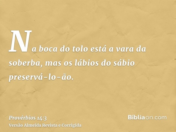 Na boca do tolo está a vara da soberba, mas os lábios do sábio preservá-lo-ão.