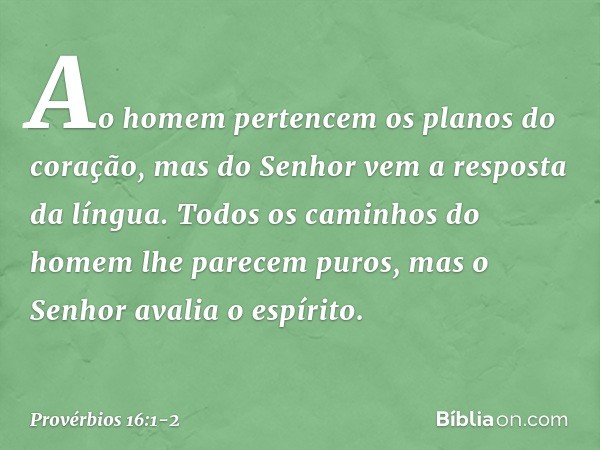 Ao homem pertencem
os planos do coração,
mas do Senhor vem a resposta da língua. Todos os caminhos do homem
lhe parecem puros,
mas o Senhor avalia o espírito. -