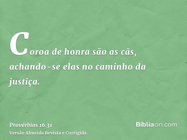 Coroa de honra são as cãs, achando-se elas no caminho da justiça.
