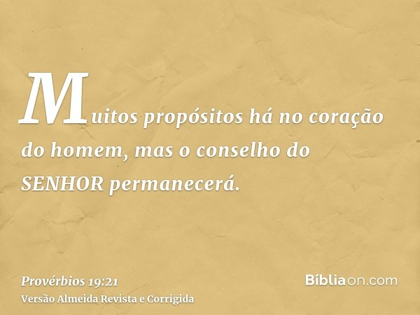 Muitos propósitos há no coração do homem, mas o conselho do SENHOR permanecerá.