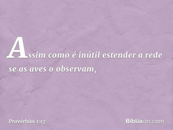 Assim como é inútil
estender a rede se as aves o observam, -- Provérbios 1:17