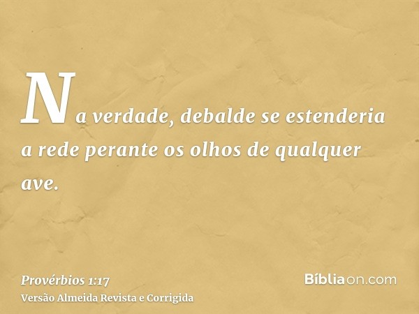 Na verdade, debalde se estenderia a rede perante os olhos de qualquer ave.