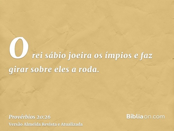 O rei sábio joeira os ímpios e faz girar sobre eles a roda.