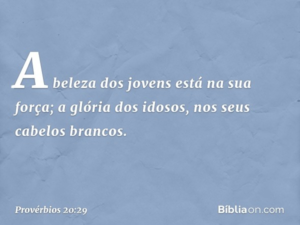 A beleza dos jovens está na sua força;
a glória dos idosos,
nos seus cabelos brancos. -- Provérbios 20:29