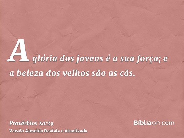 A glória dos jovens é a sua força; e a beleza dos velhos são as cãs.