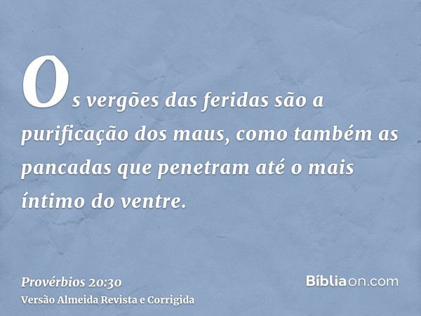 Os vergões das feridas são a purificação dos maus, como também as pancadas que penetram até o mais íntimo do ventre.