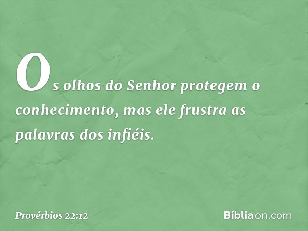 Os olhos do Senhor
protegem o conhecimento,
mas ele frustra as palavras dos infiéis. -- Provérbios 22:12