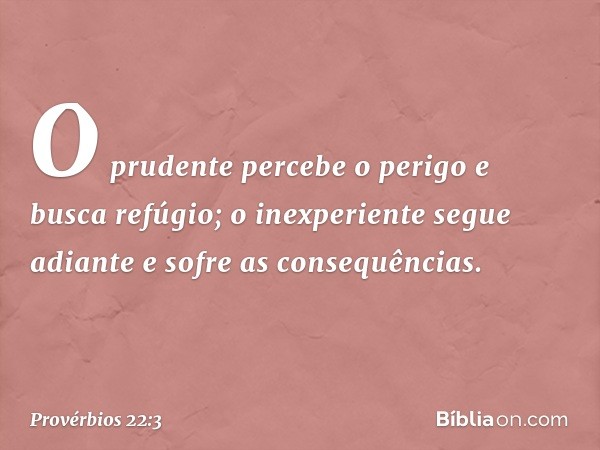 O prudente percebe o perigo
e busca refúgio;
o inexperiente segue adiante
e sofre as consequências. -- Provérbios 22:3