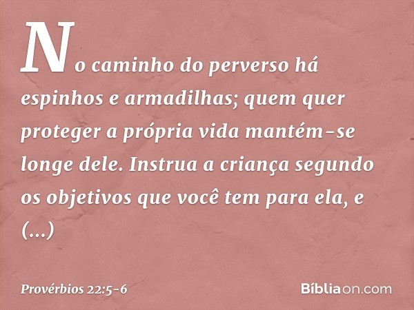 No caminho do perverso
há espinhos e armadilhas;
quem quer proteger a própria vida
mantém-se longe dele. Instrua a criança segundo os objetivos
que você tem par